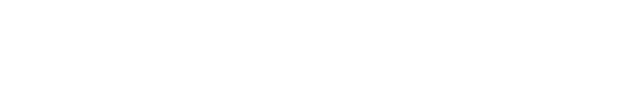 OevuAI